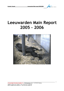 Leeuwarden main report _2