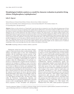 Morphological cladistic analysis as a model for character evaluation