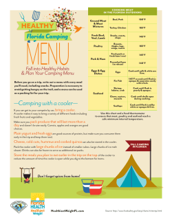 Healthy Camping Food Tips - Healthiest Weight Florida