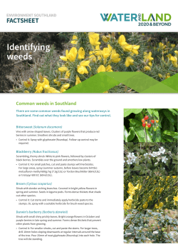 Factsheet - Identifying weeds in riparian zones