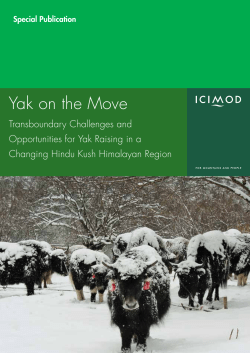 Yak on the Move - HimalDoc