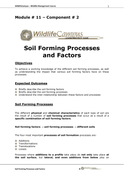 Component # 2 Soil Forming Processes and Factors