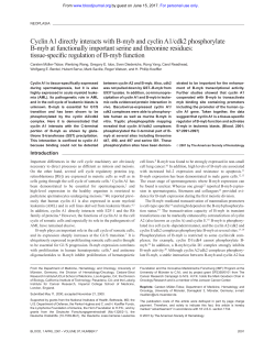 Cyclin A1 directly interacts with B-myb and cyclin A1
