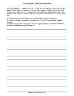 Honey Badger Constructed Response