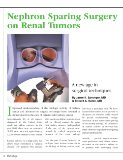 Nephron Sparing Surgery on Renal Tumors