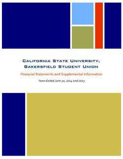 Student Union Audited Financial for FY 13-14