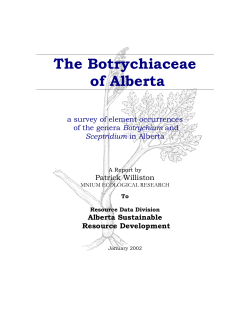 The Botrychiaceae