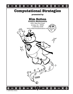 Computational Strategies