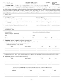 New Business Entity Filing