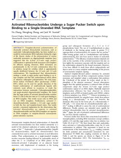 Activated Ribonucleotides Undergo a Sugar Pucker Switch upon