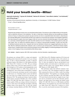 Hold your breath beetle - Mites!
