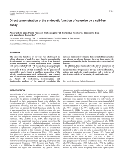 In vitro formation of caveolae-derived vesicles