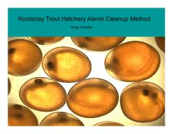 Heath Tray Fungus Clean-up