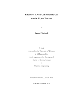 Effects of a Non-Condensable Gas on the Vapex Process