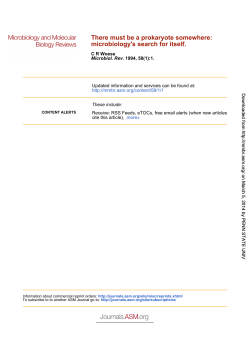 microbiology`s search for itself. There must be a prokaryote