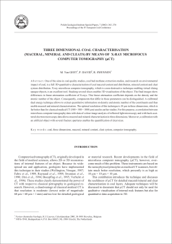 MACERAL, MINERAL AND CLEATS