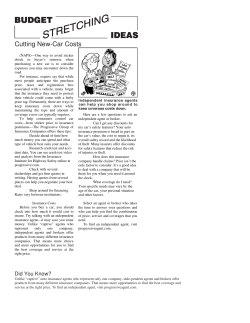 Cutting New-Car Costs - Pak Auto Tag Insurance