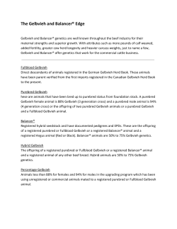 Fullblood, Purebred, or Balancer - the Canadian Gelbvieh Association
