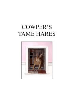 Cowper`s Tame Hares - Cowper and Newton Museum