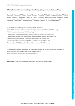 SMN affects membrane remodelling and anchoring of the protein