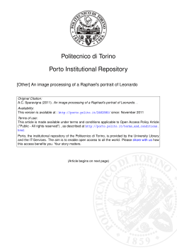 An image processing of a Raphael`s portrait of Leonardo