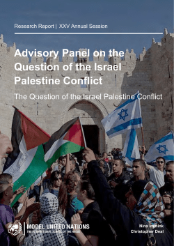 Advisory Panel on the Question of the Israel Palestine