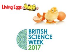 British Science Week 2017 - Half Term Home