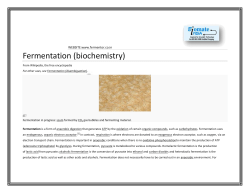 Fermentation (biochemistry)