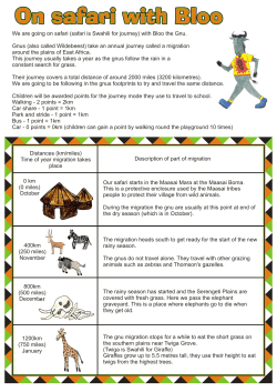 On safari journey details