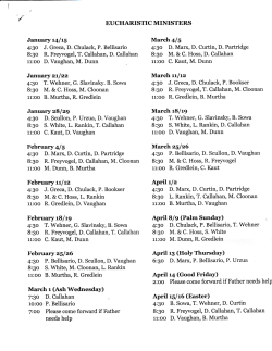 Extraordinary Minister Schedule