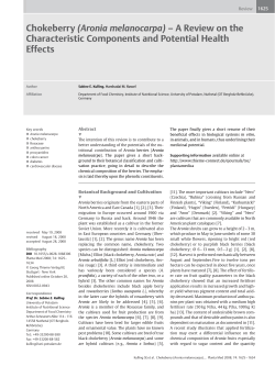 Aronia Review Article