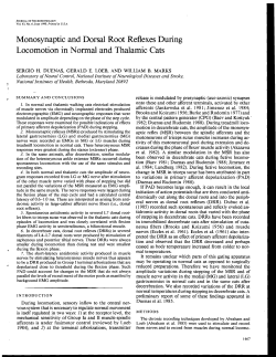 Monosynaptic and dorsal root reflexes during locomotion in normal
