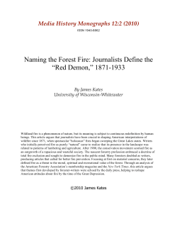 Naming the Forest Fire: Journalists Define the &ldquo;Red Demon,&rdquo; 1871