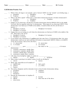 Cell Division Practice Test