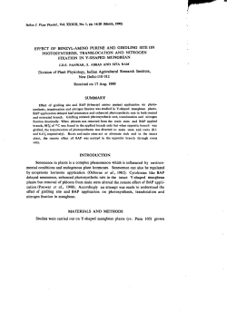 EFFECT OF BENZYL-AMINO PURINE AND GIRDLING SITE ON
