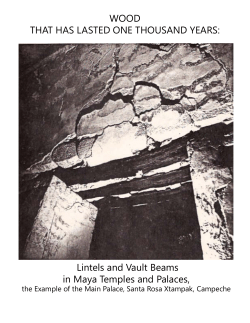Lintels and Vault Beams in Maya Temples and Palaces