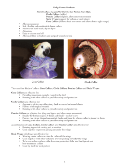 Parrot Collars Designed for Parrots that Pick in Four