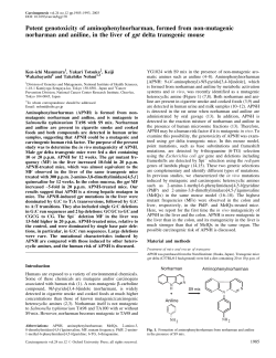 Potent genotoxicity of aminophenylnorharman, formed from non