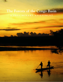 The Forests of the Congo Basin - Carpe