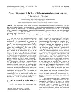 Prokaryotic branch of the Tree of Life: A composition vector approach
