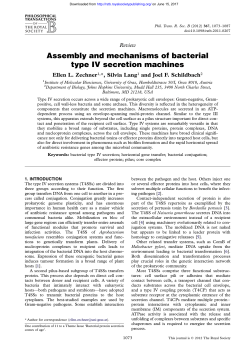 Assembly and mechanisms of bacterial type IV secretion machines
