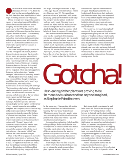 Flesh-eating pitcher plants are proving to be far more devious