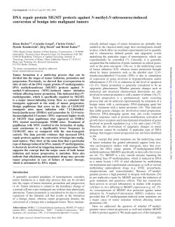 DNA repair protein MGMT protects against N