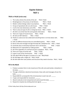 TEST 1 - Birch Valley Ranch