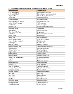 APPENDIX E E1. Invasive or nonnative species common and
