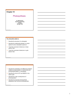 Photosynthesis - HCC Learning Web