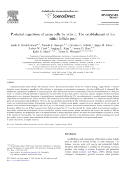Postnatal regulation of germ cells by activin: The establishment of