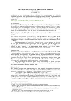 I suppose that I am the nearest thing the Cambs Wildlife Trust has to