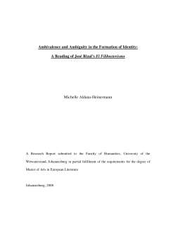 Ambivalence and Ambiguity in the Formation of Identity