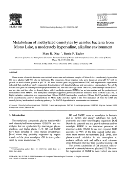 Metabolism of methylated osmolytes by aerobic bacteria from Mono